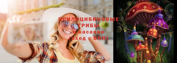 PSILOCYBIN Абдулино