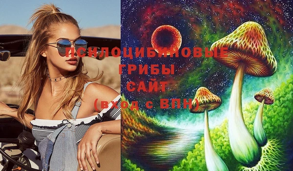 PSILOCYBIN Абдулино
