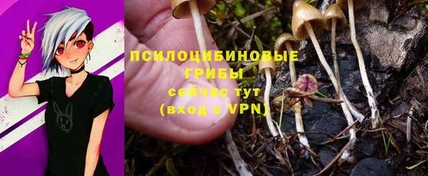 PSILOCYBIN Абдулино