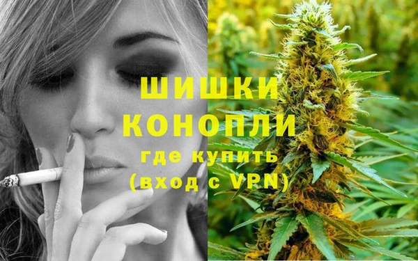 PSILOCYBIN Абдулино