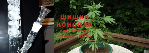 PSILOCYBIN Абдулино