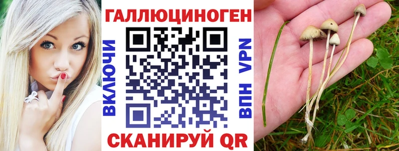 где найти наркотики  Бирюсинск  Псилоцибиновые грибы GOLDEN TEACHER 